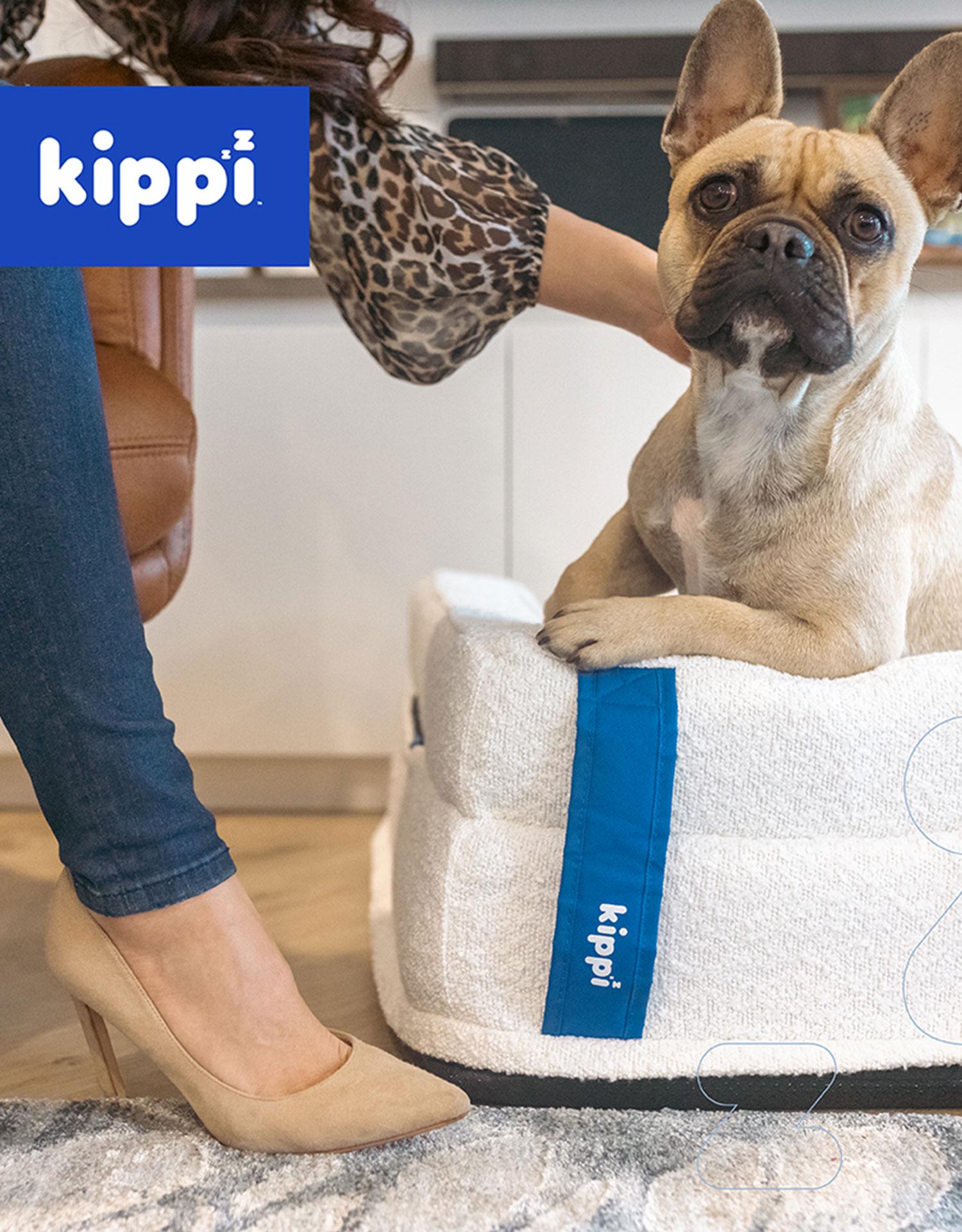 Kippi brand identity and digital strategy